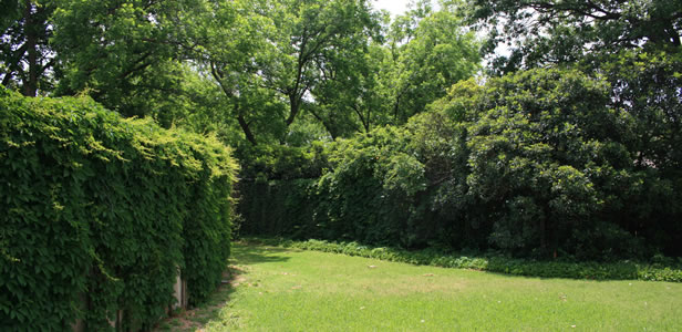 Haversham common area